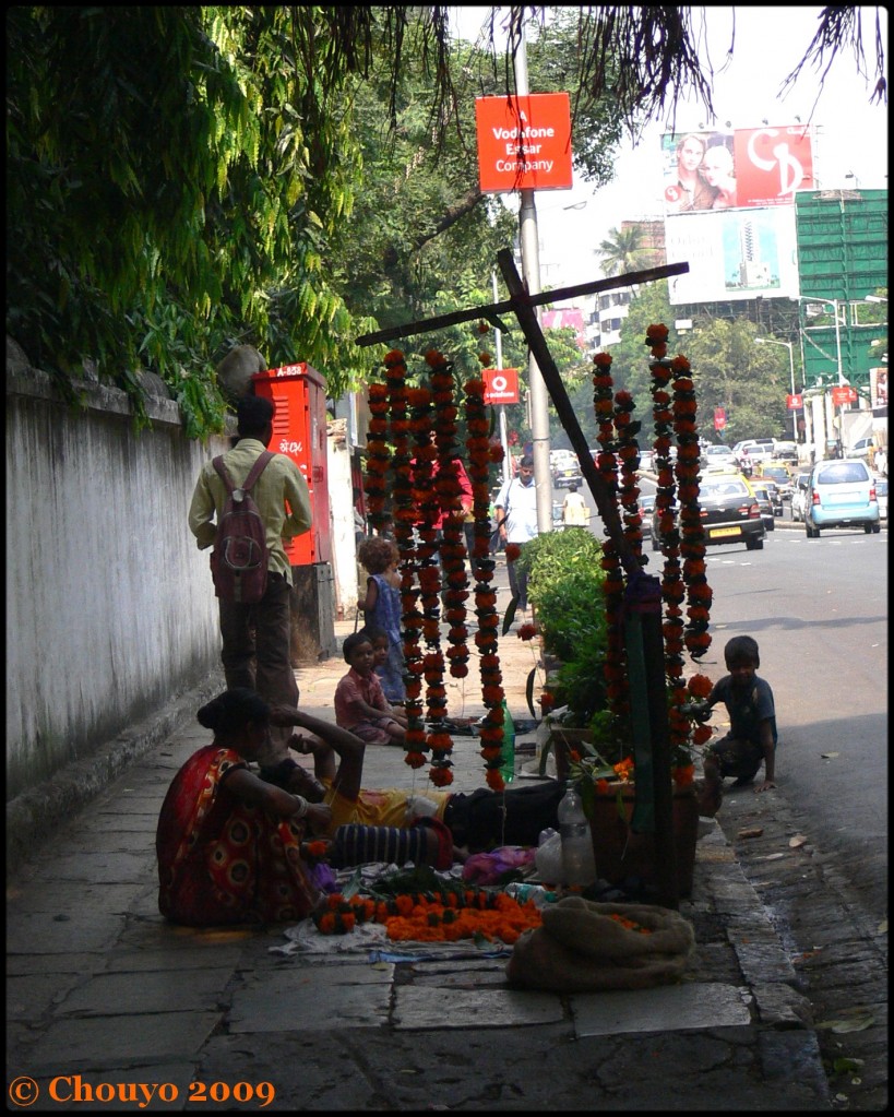 Fleurs Diwali