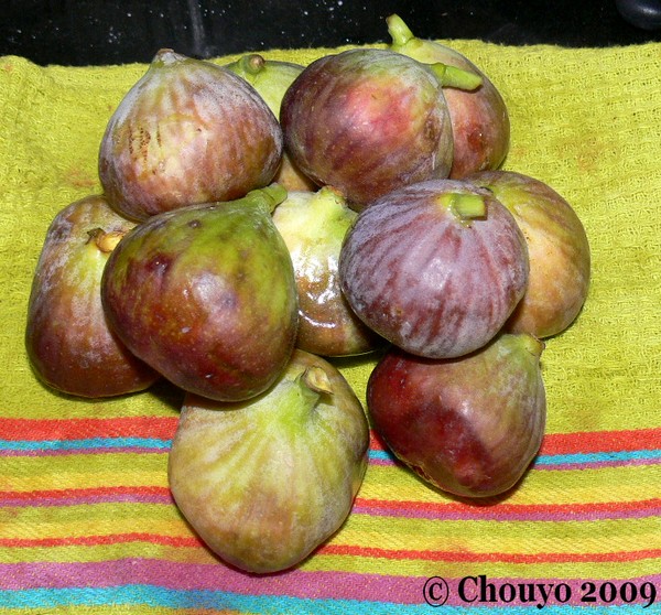 Figues