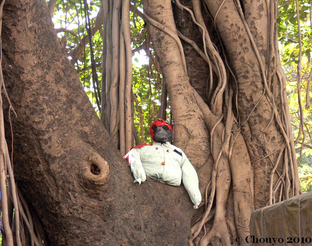 Gardien Horniman Circle Mumbai