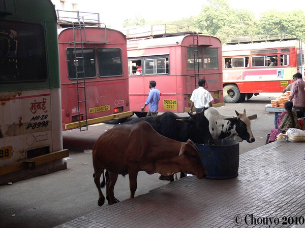 Gare routière Lonavla