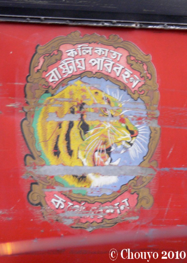 Tigre indien