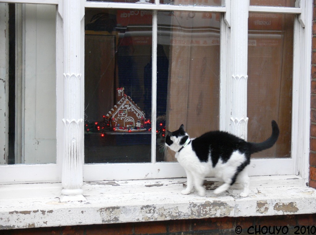 Chat Maison en pain d'épices