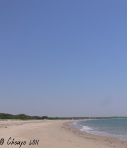 Mandvi Plage 1