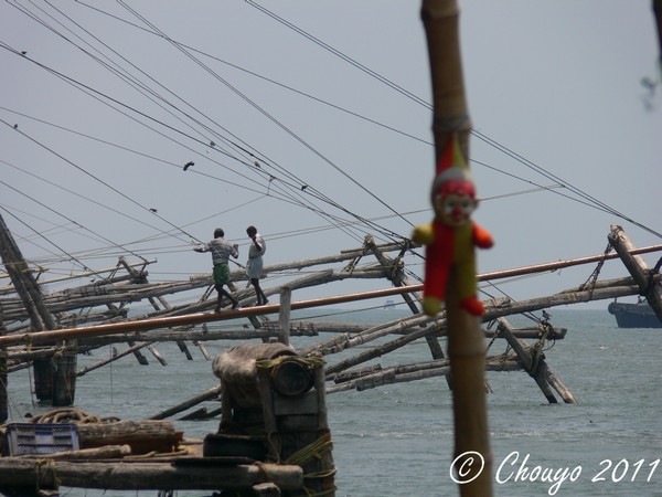 Cochin Filets de pêche chinois