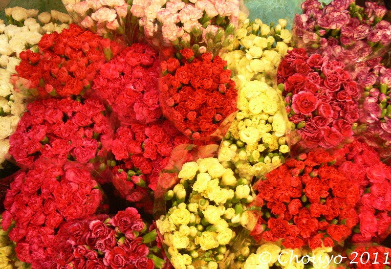 Marché aux Fleurs 12 blog