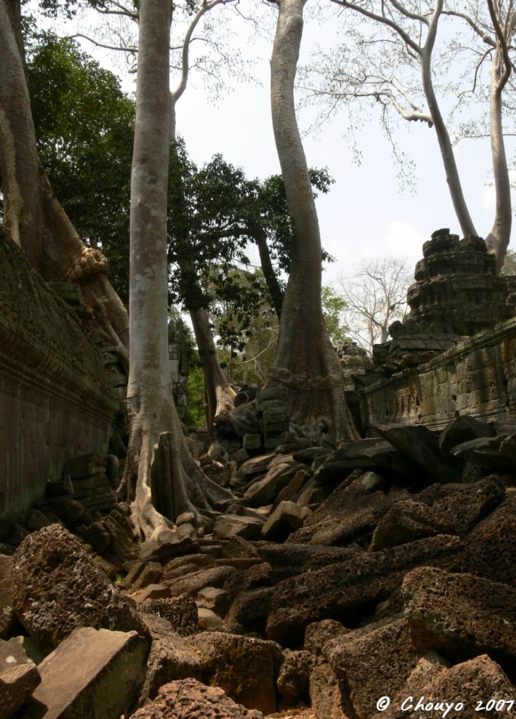 Cambodge Angkor 1