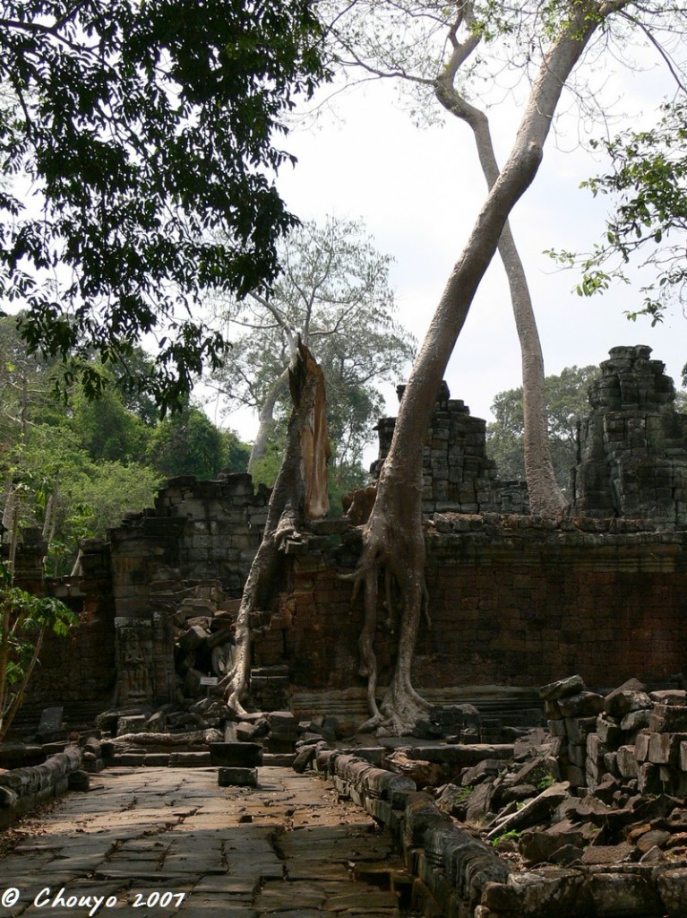 Cambodge Angkor 3