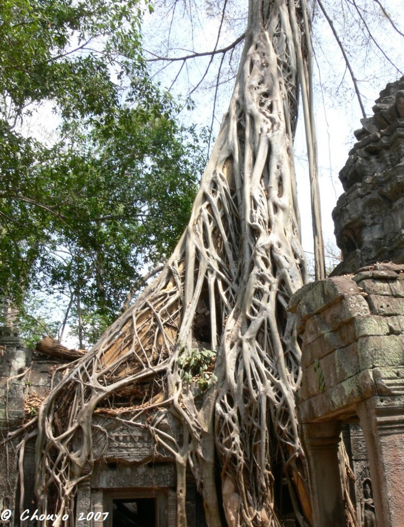 Cambodge Angkor 7