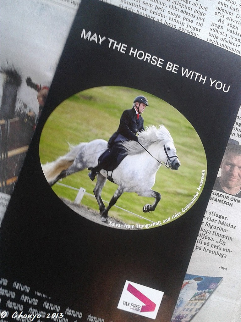 Islande May the Horse be with you