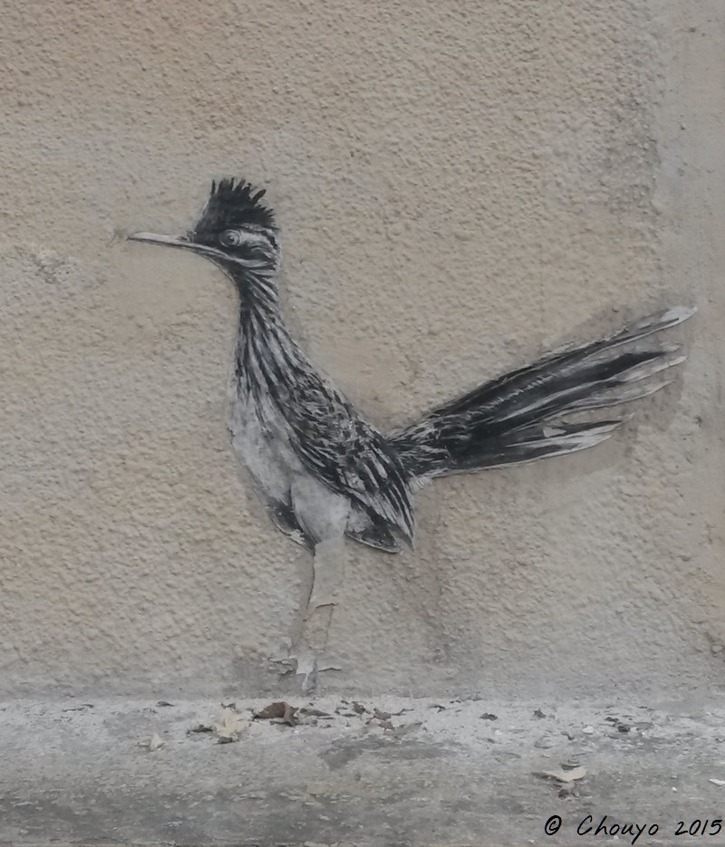 Paris Oiseau