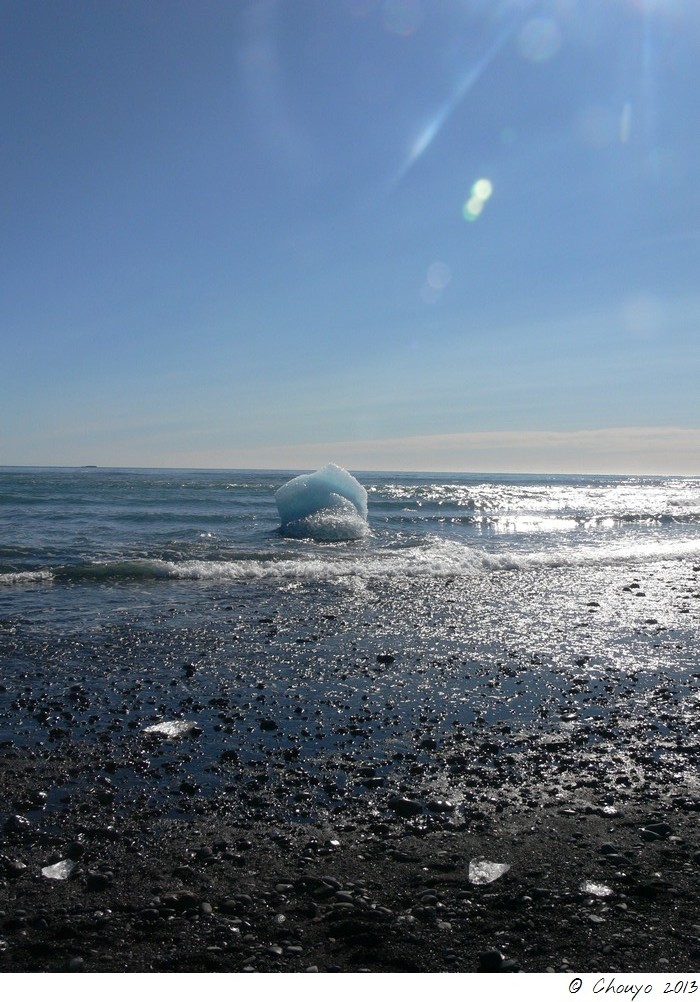 Islande Jökulsarlon 26