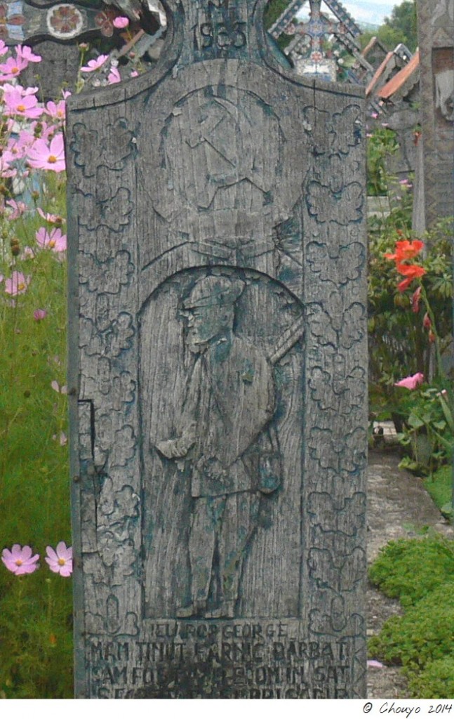 Sapanta 31