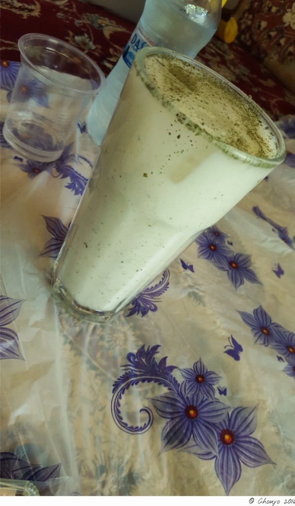 Iran Ayran